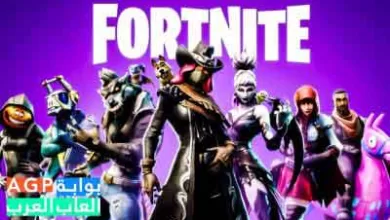 إلغاء بطولة فورتنايت كأس العالم بسبب ...