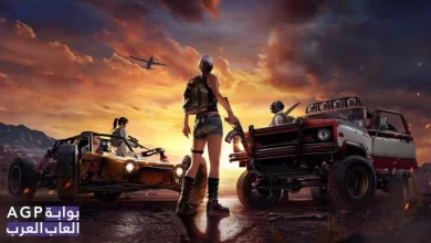 مخرج لعبة PUBG يرغب في دعمها لمدة 20 عام