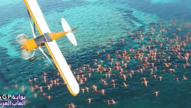 حصرية Microsoft القادمة Microsoft Flight Simulator 2020 تحصل على البيتا المغلقة في يوم 30 4 حصرية Microsoft القادمة Microsoft Flight Simulator 2020 تحصل على البيتا المغلقة في يوم 30