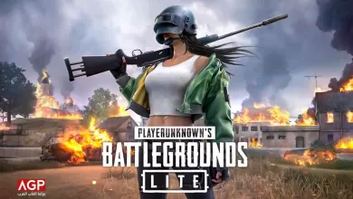 PUBG Lite تغلق بالكامل بعد نهاية 29 أبريل من دون معرفة السبب!