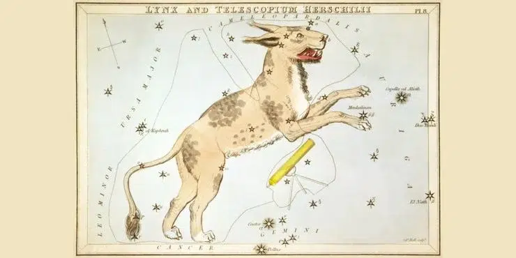 witcher lynx mythology