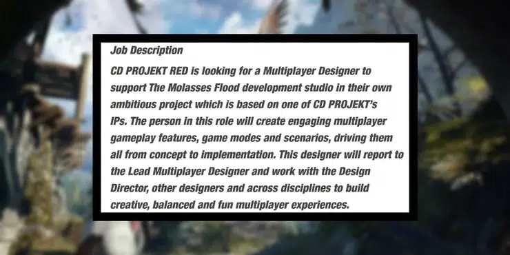 witcher multiplayer game job listing