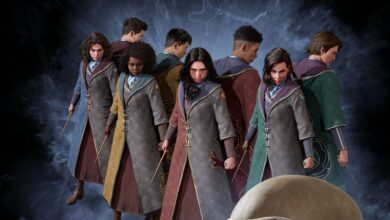 هل سألت نفسك عن عدد طلاب لعبة Hogwarts Legacy من قبل؟ 22 Hogwarts Legacy