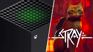 أطلق العنان للمغامرة لعبة Stray قادمة لـ Xbox 11 أطلق العنان للمغامرة لعبة Stray قادمة لـ Xbox